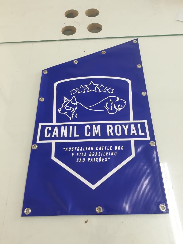 Backdrop e Faixas - MV Print BH